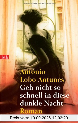 Geh nicht so schnell in diese dunkle Nacht: Roman