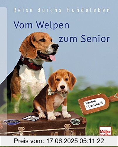 Binding : Taschenbuch, Edition : 1, Label : Müller Rüschlikon, Publisher : Müller Rüschlikon, medium : Taschenbuch, numberOfPages : 160, publicationDate : 2015-04-28, authors : Sophie Strodtbeck, languages : german, ISBN : 3275020145