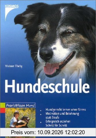 Hundeschule: Hundgerecht lernen ohne Stress. Motivation und Belohnung statt Strafe. Erfolgreich erziehen Schritt für Schritt