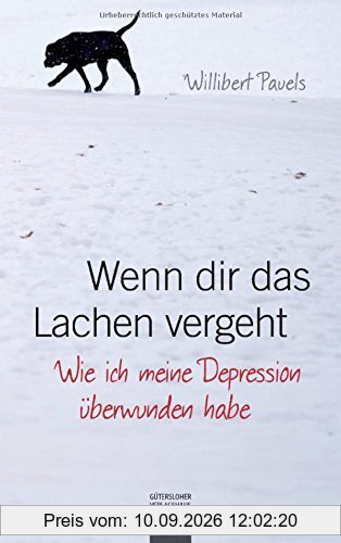 Wenn dir das Lachen vergeht: Wie ich meine Depression überwunden habe