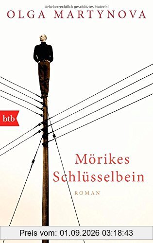 Mörikes Schlüsselbein: Roman