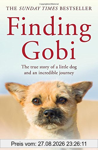 Finding Gobi (Main edition)
