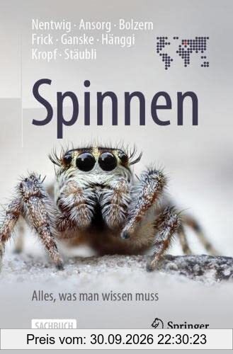 Spinnen - Alles, was man wissen muss