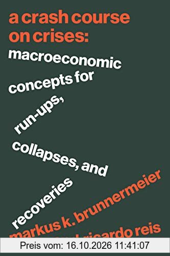 A Crash Course on Crises: Macroeconomic Concepts for Run-Ups, Collapses, and Recoveries