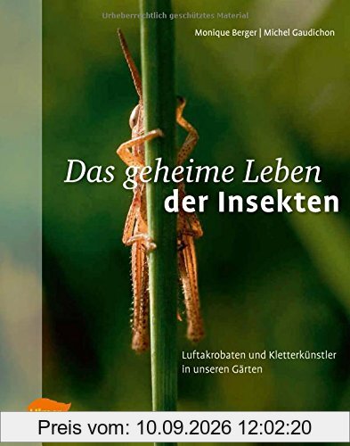 Das geheime Leben der Insekten: Luftakrobaten und Kletterkünstler in unseren Gärten