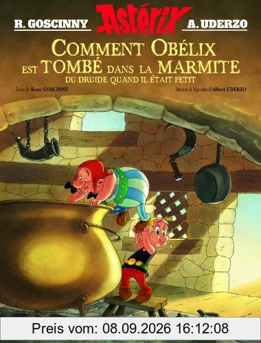 Comment Obélix est tombé dans la marmite du druide quand il était petit