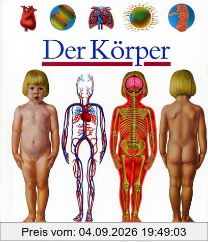 Der Körper: Der Koerper