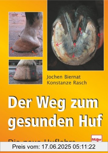 Binding : Gebundene Ausgabe, Edition : 2, Label : Müller Rüschlikon, Publisher : Müller Rüschlikon, medium : Gebundene Ausgabe, numberOfPages : 146, publicationDate : 2003-02-28, authors : Jochen Biernat, Konstanze Rasch, languages : german, ISBN : 3275014692