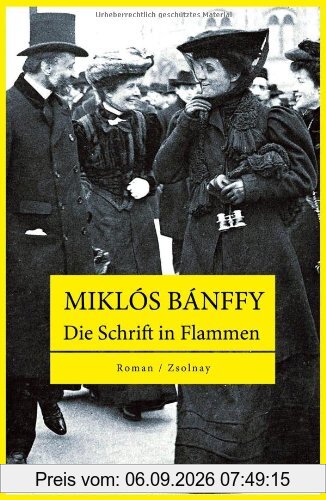 Die Schrift in Flammen: Roman
