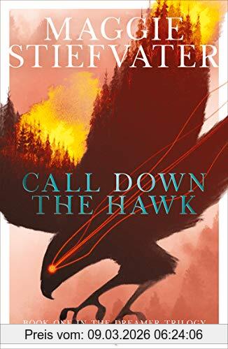 Maggie Stiefvater Dreamer 1. Call Down The Hawk