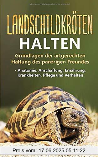 Binding : Taschenbuch, Label : Independently published, Publisher : Independently published, medium : Taschenbuch, numberOfPages : 106, publicationDate : 2019-06-05, authors : Alina Rotten, ISBN : 1072209748