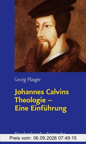 Johannes Calvins Theologie - Eine Einführung