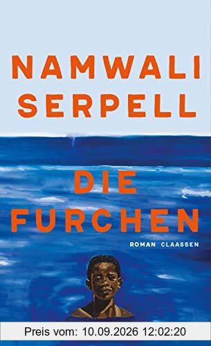 Die Furchen: Roman | ein Roman über Trauer und Identität, der aus der Bahn wirft