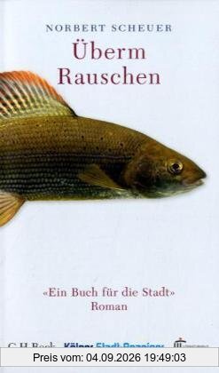 Überm Rauschen: Ein Buch für die Stadt