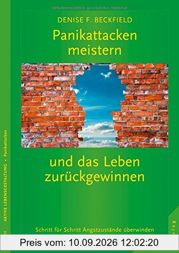 Panikattacken meistern und das Leben zurückgewinnen: Schritt für Schritt Angstzustände überwinden