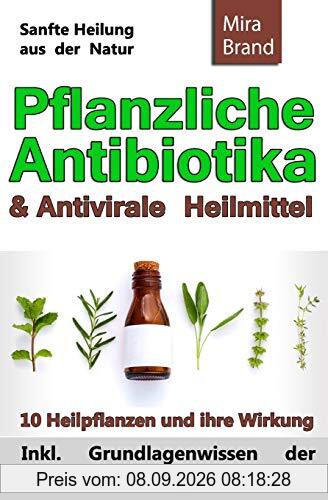 Pflanzliche Antibiotika & Antivirale Heilmittel: Sanfte Heilung aus der Natur (Inkl. Grundlagenwissen der Salbenherstellung und Rezepten)