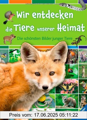 Binding : Gebundene Ausgabe, Edition : 2, Label : Ravensburger Buchverlag, Publisher : Ravensburger Buchverlag, medium : Gebundene Ausgabe, numberOfPages : 140, publicationDate : 2013-02-01, authors : Colette Barbé-Julien, translators : Hannelore Leck-Frommknecht, languages : german, ISBN : 3473553476