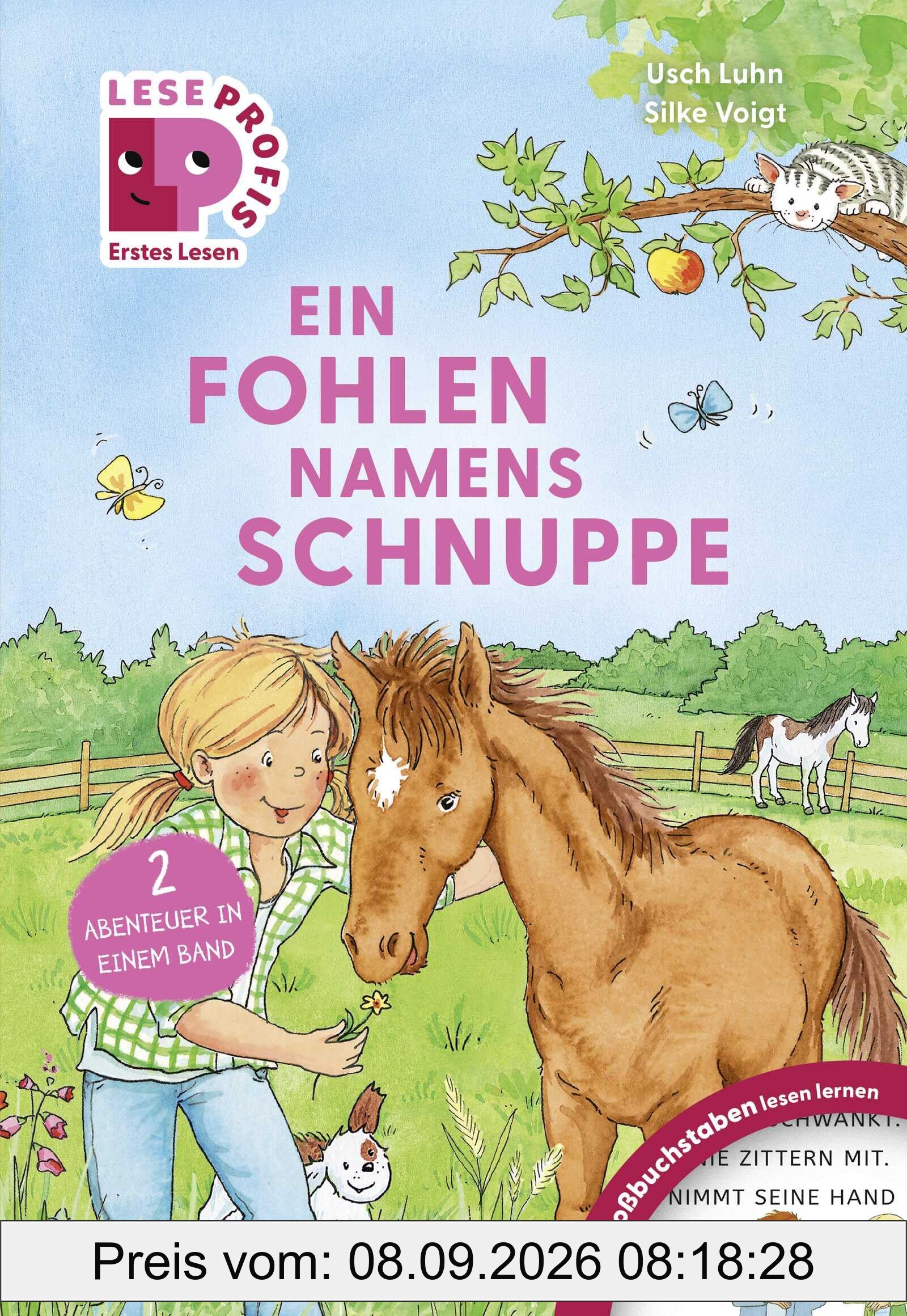 Leseprofis – GROSSBUCHSTABEN: EIN FOHLEN NAMENS SCHNUPPE, 1. Klasse: Kinderbuch für Erstleser:innen und Leseanfänger ab 5 Jahren (Lesen lernen 1. Klasse, Band 35)