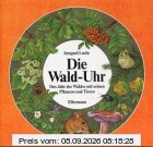 Die Wald - Uhr. ( Ab 7 J.). Das Jahr des Waldes mit seinen Pflanzen und Tieren