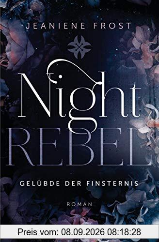 Night Rebel 3 - Gelübde der Finsternis: Roman (Ian & Veritas, Band 3)