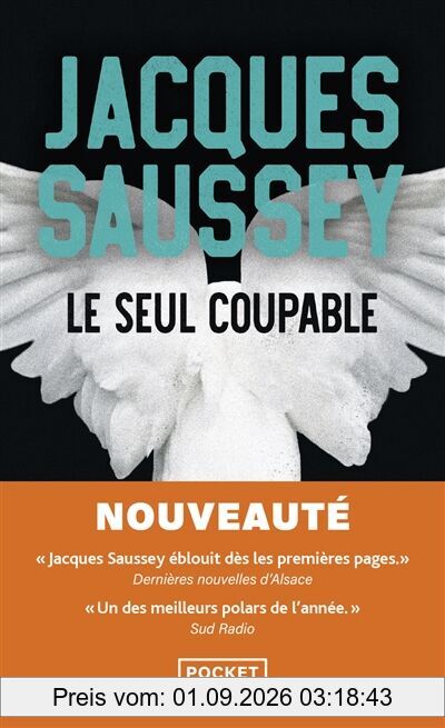 Le seul coupable