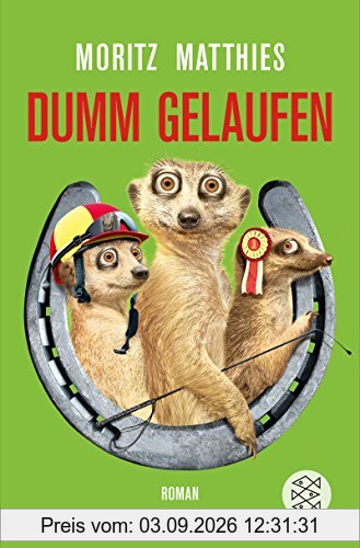 Dumm gelaufen: Roman