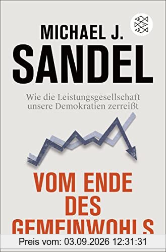 Vom Ende des Gemeinwohls: Wie die Leistungsgesellschaft unsere Demokratien zerreißt