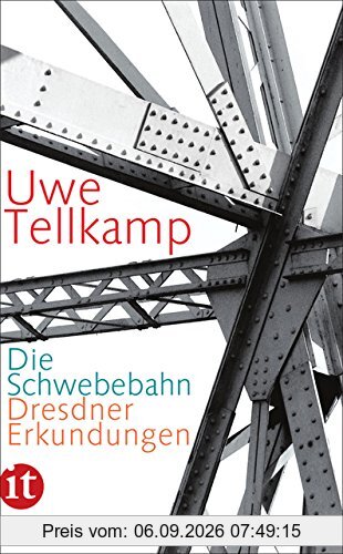 Die Schwebebahn: Dresdner Erkundungen (insel taschenbuch)