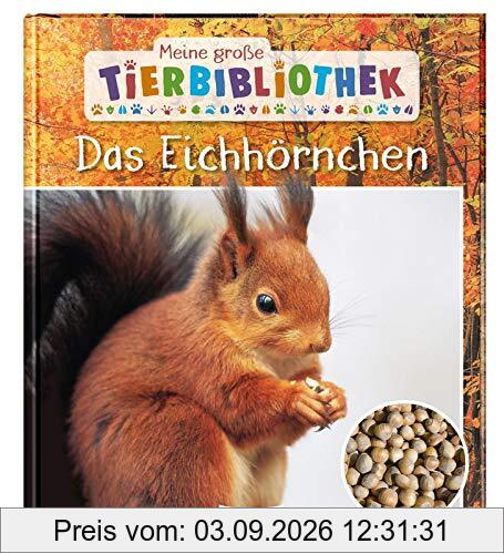 Das Eichhörnchen (Meine große Tierbibliothek)