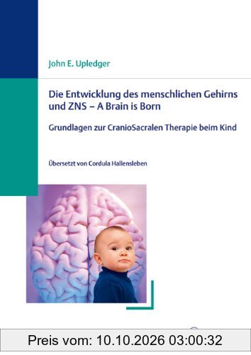 Die Entwicklung des menschlichen Gehirns und ZNS - A Brain is Born: Grundlagen zur CranioSakralen Therapie beim Kind