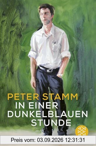 In einer dunkelblauen Stunde: Roman