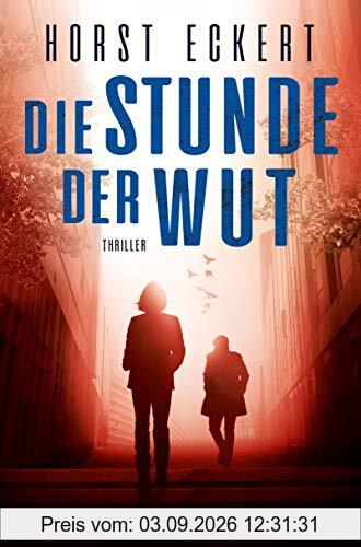 Die Stunde der Wut: Thriller (Ein Fall für Melia und Vincent-Reihe, Band 2)