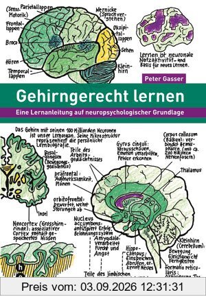Gehirngerecht lernen