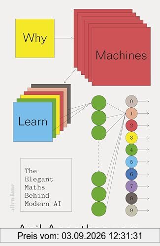 Why Machines Learn: The Elegant Maths Behind Modern AI