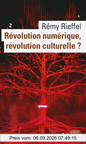 Révolution numérique, révolution culturelle ?