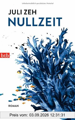 Nullzeit: Roman