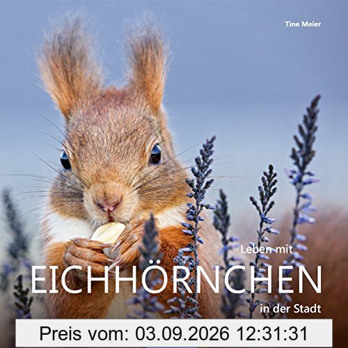 Leben mit Eichhörnchen in der Stadt