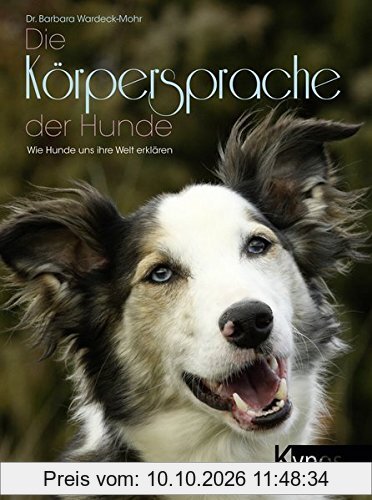 Die Körpersprache der Hunde: Wie Hunde uns ihre Welt erklären