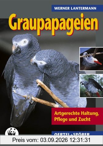 Graupapageien