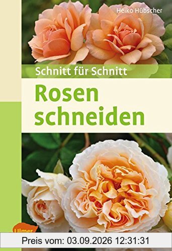 Rosen schneiden: Schnitt für Schnitt