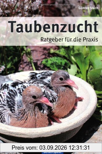 Taubenzucht: Ratgeber für die Praxis