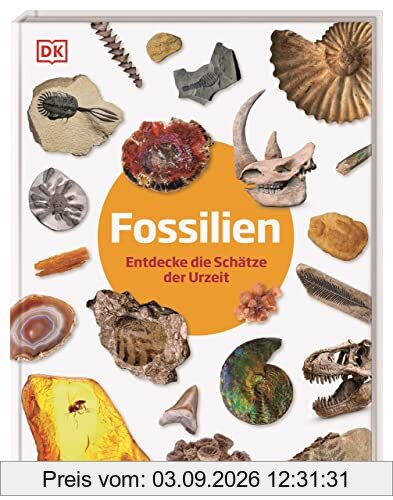 Fossilien: Entdecke die Schätze der Urzeit