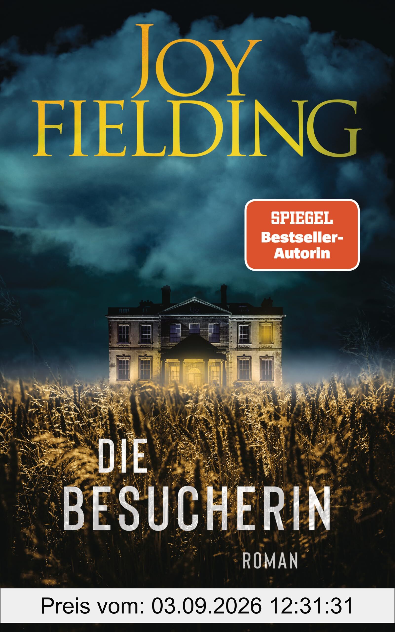 Die Besucherin: Roman