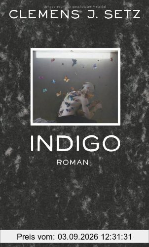 Indigo: Roman