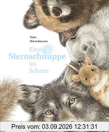 Eine Sternschnuppe im Schnee