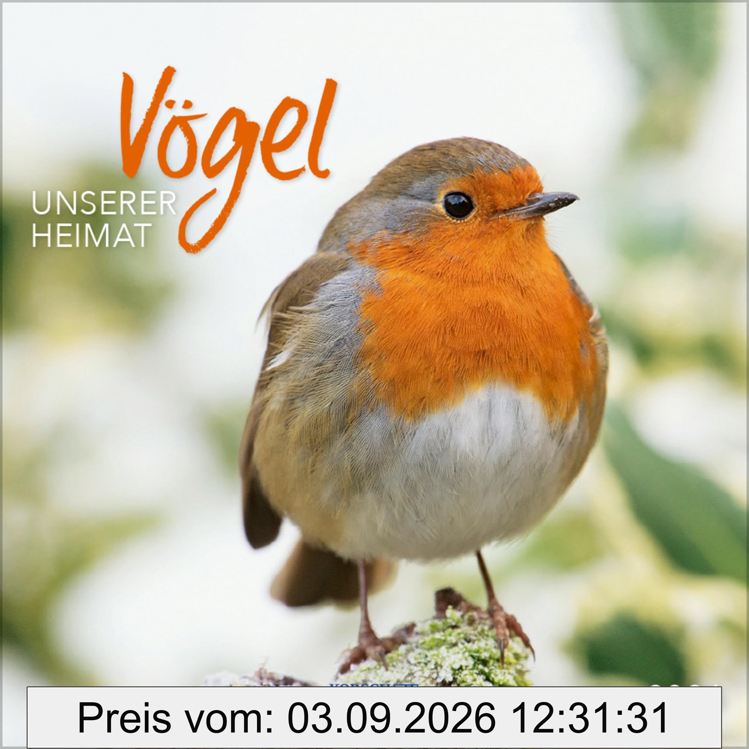 Vögel 2026