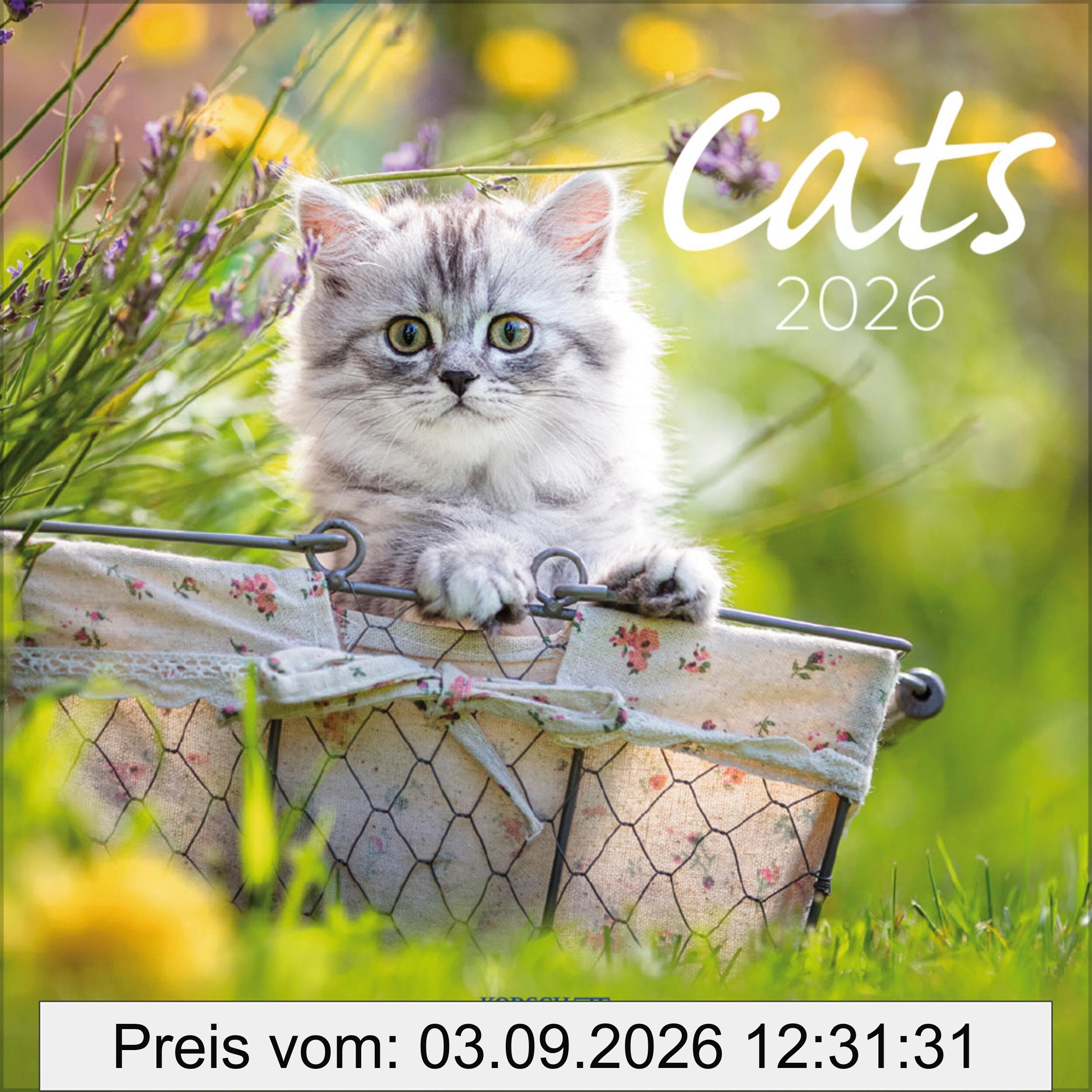 Cats 2026