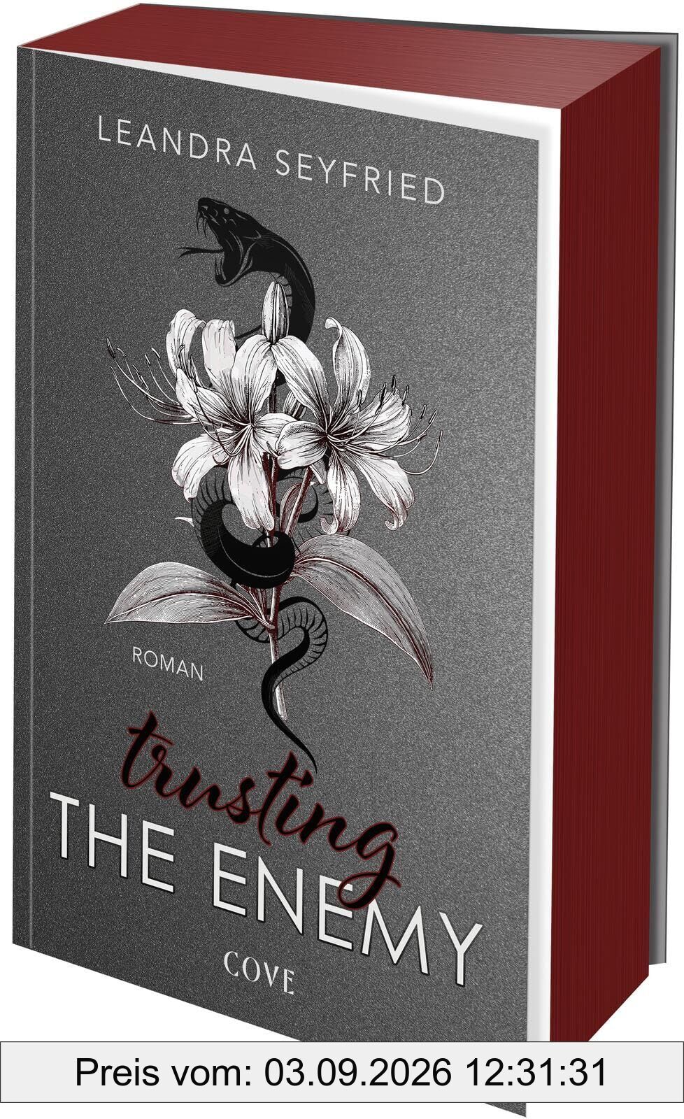 Trusting The Enemy (Sons of Chicago 2)