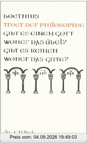 Trost der Philosophie