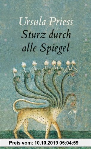 Gebr. - Sturz durch alle Spiegel. Eine Bestandsaufnahme
